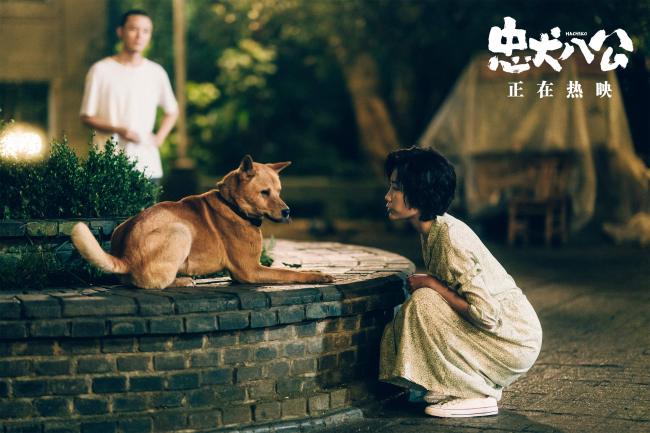 《忠犬八公》上映 五大看点揭秘“重磅情感炸弹”