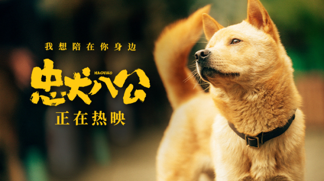 《忠犬八公》全新特辑曝光 狗狗主演竟是流浪狗