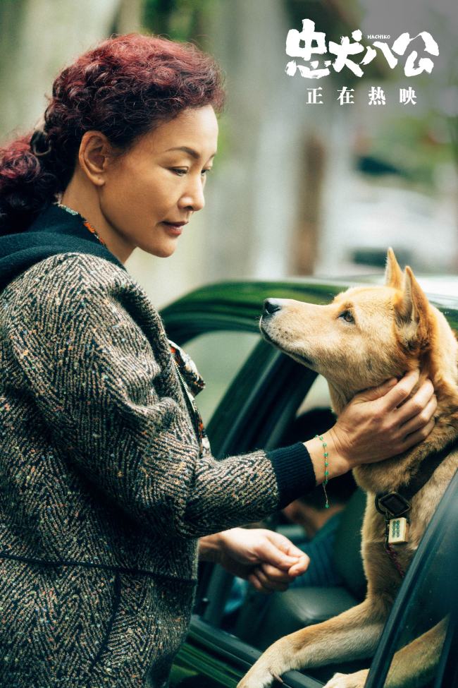 《忠犬八公》上映 五大看点揭秘“重磅情感炸弹”