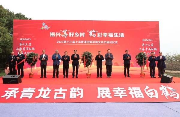 第十三届上海青浦白鹤草莓文化节开幕