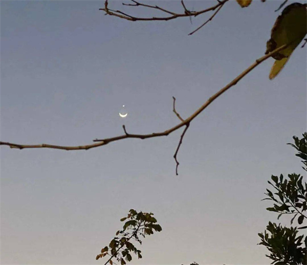 我国24晚惊现月掩金星的夜空奇景
