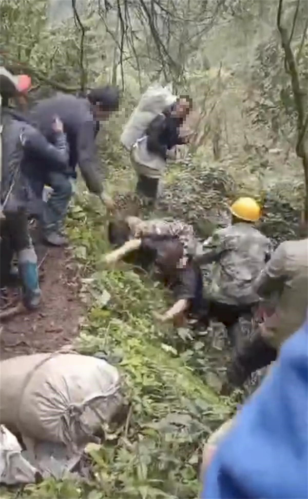 村民在挖笋时与承包方起冲突多人受伤