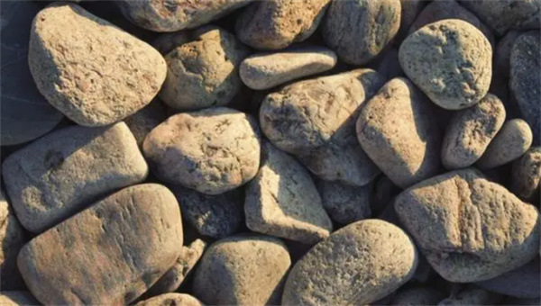 学生网购小石头收到7斤巨石