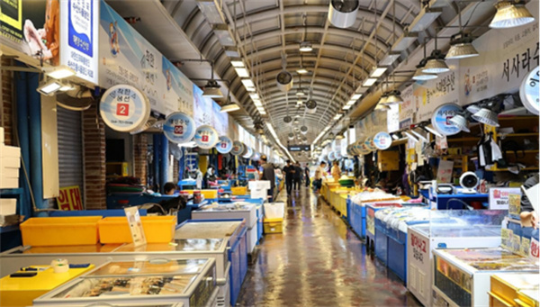 韩国多个海鲜市场几乎空无一人，核污染危害广泛