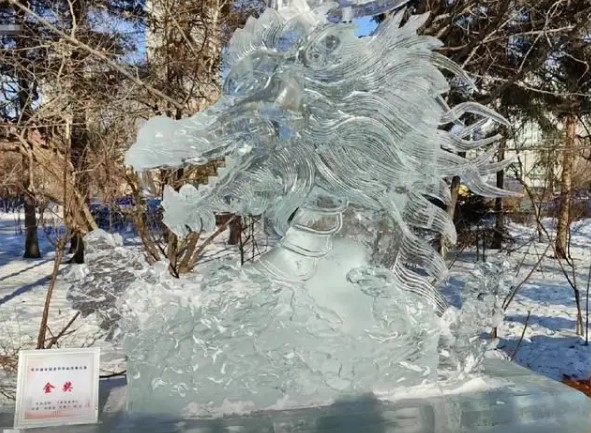 哈尔滨巨龙冰雕被游客掰掉牙齿